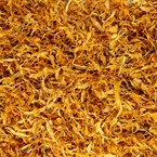 Měsíček lékařský